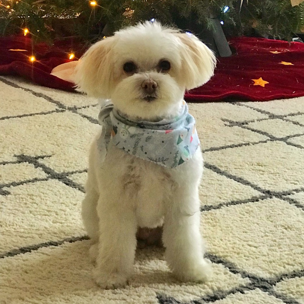 Meet your Posher, Diana